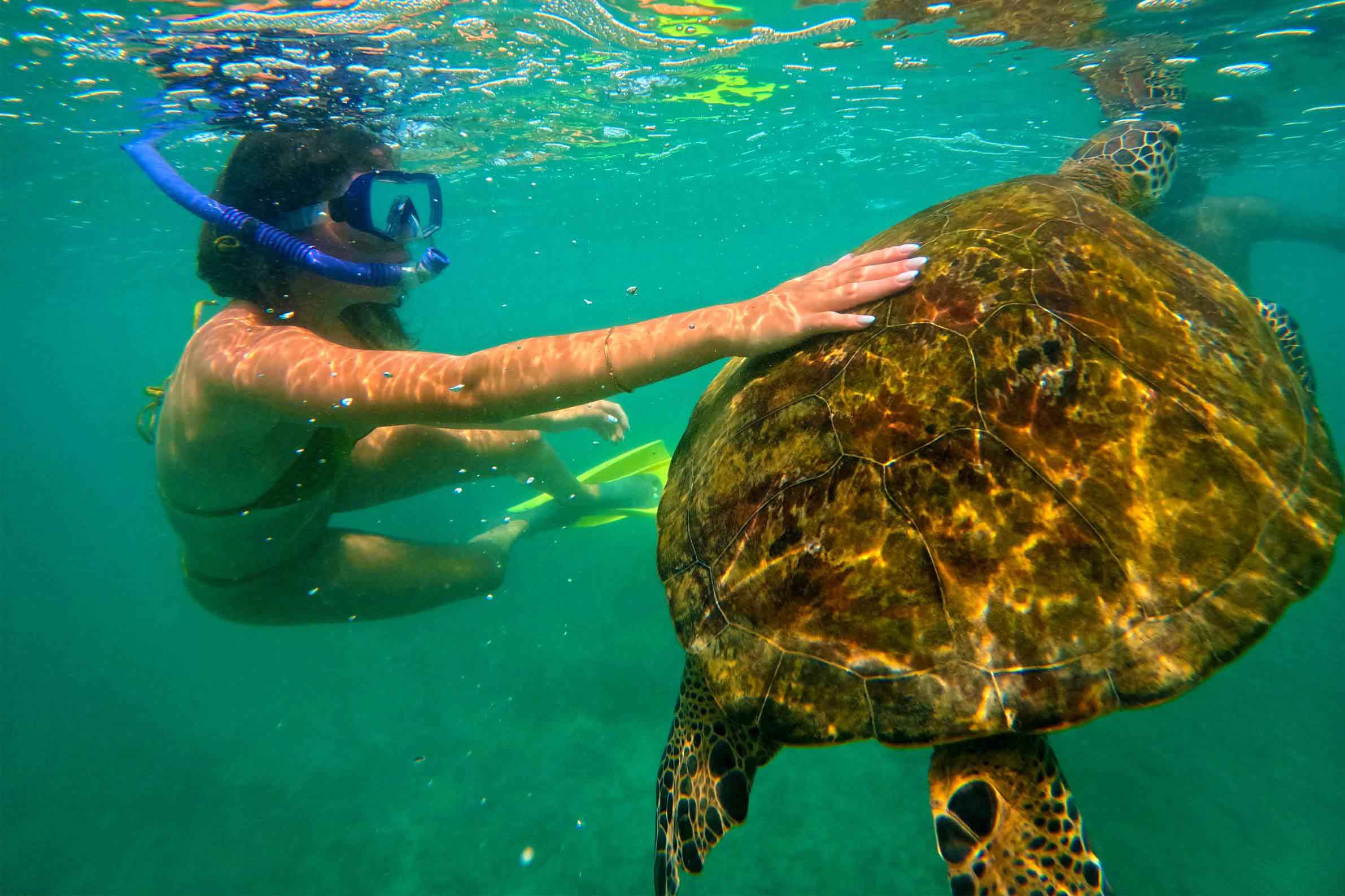 Snorkeling with turtles in Mirissa, Sri Lanka